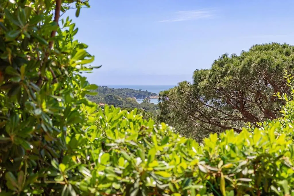 Close To Gigaro Beach, Surrounded By Nature La Croix-Valmer Apartment
