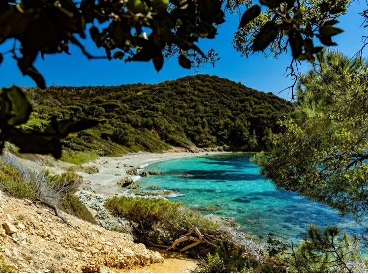 Apartment Close To Gigaro Beach, Surrounded By Nature La Croix-Valmer France